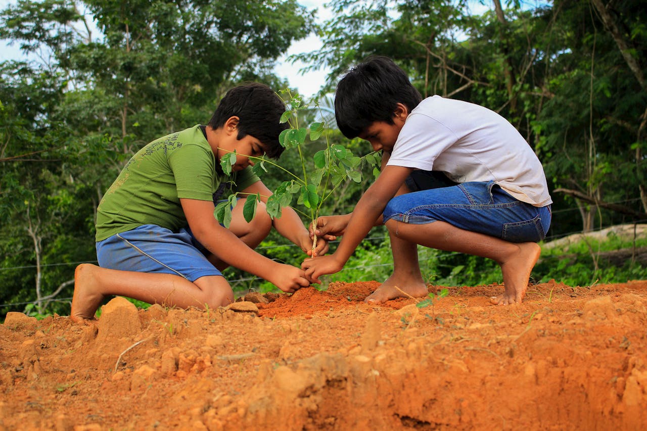Two young boys planting a tree outdoors, promoting sustainability and nature conservation.